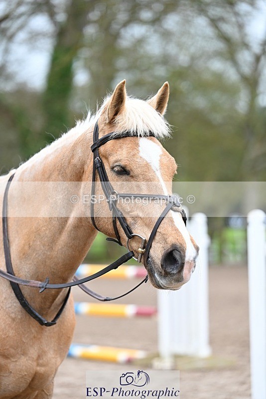 240411-121645-00391 - Group 6 SJ