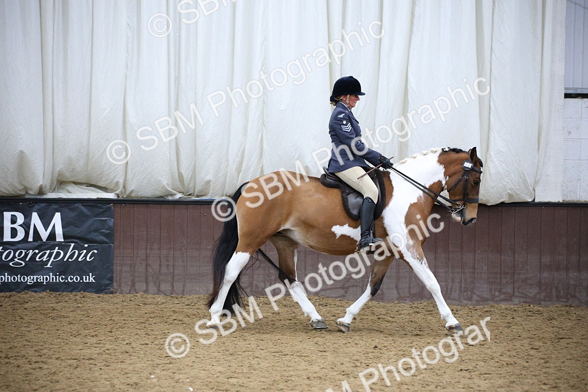 5K7A6070 - Class 48 - Ridden Mare