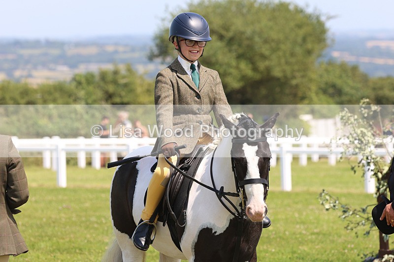 JPP_3077 - Class 22: Working Hunter 70cm