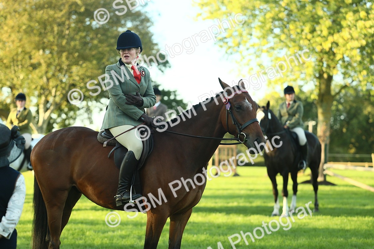 SBM_55579 - S14 - Riding Club Horse