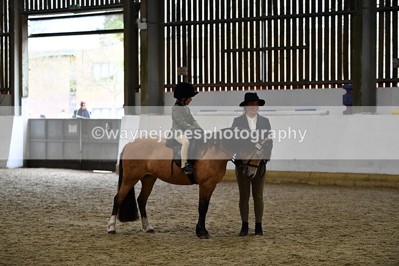 WJ5_6757 - Class 10 Childs Pony