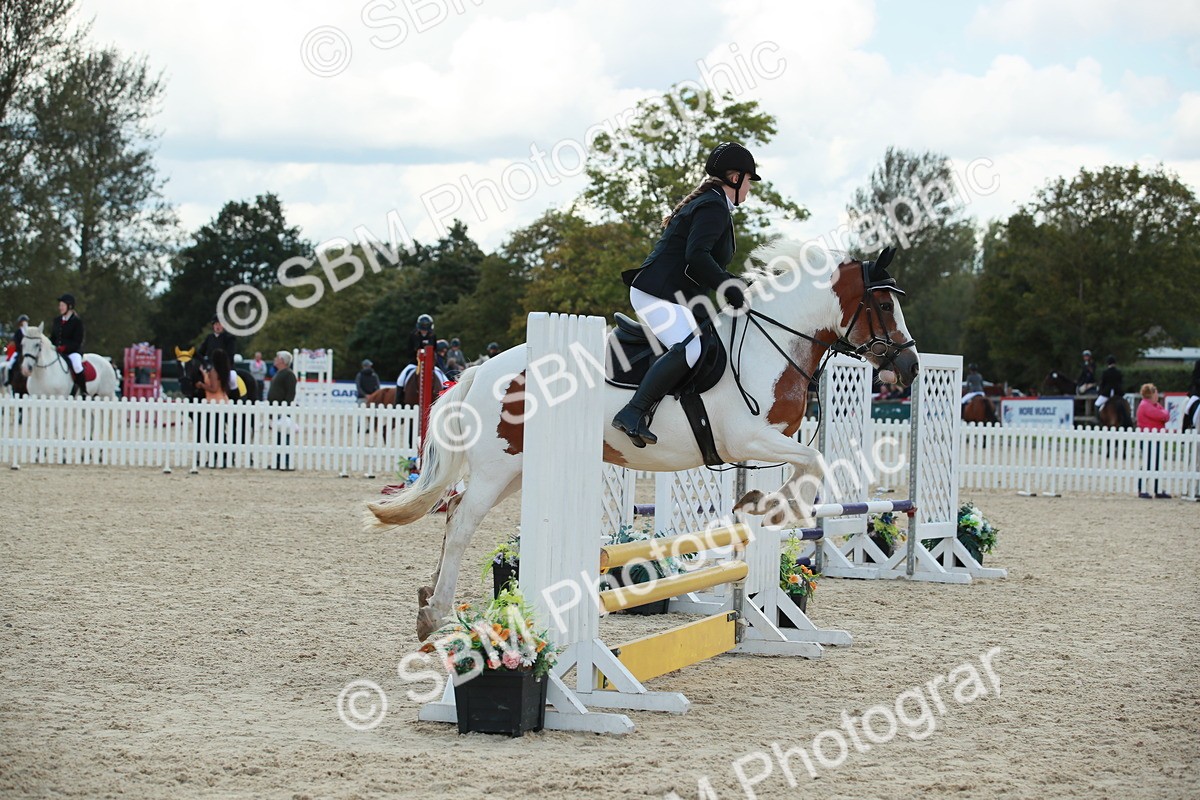 SBM_06201 - J29 Senior 65cm Championship