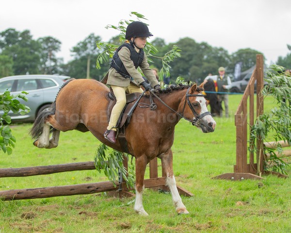 Dunblane show-94 - Dunblane and Doune Show Ring 1