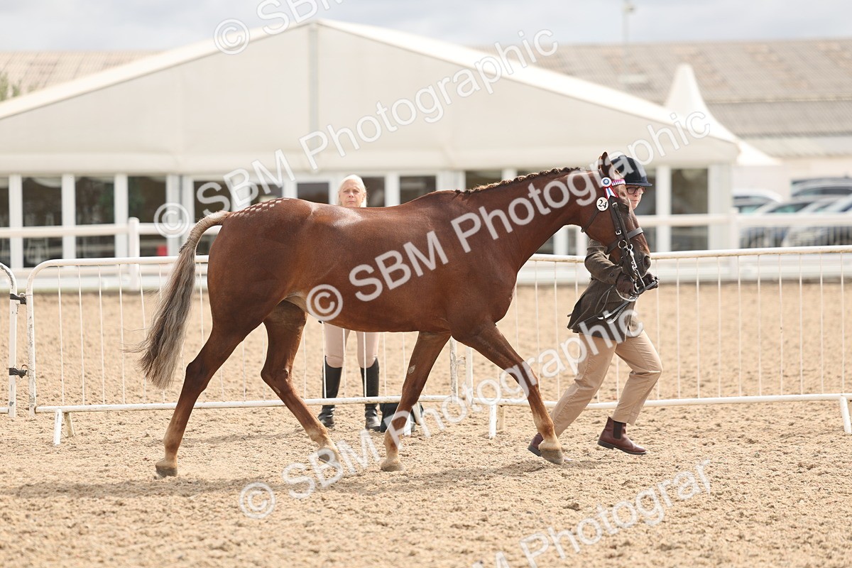 SBM_04915 - Class 20 - IH Veteran