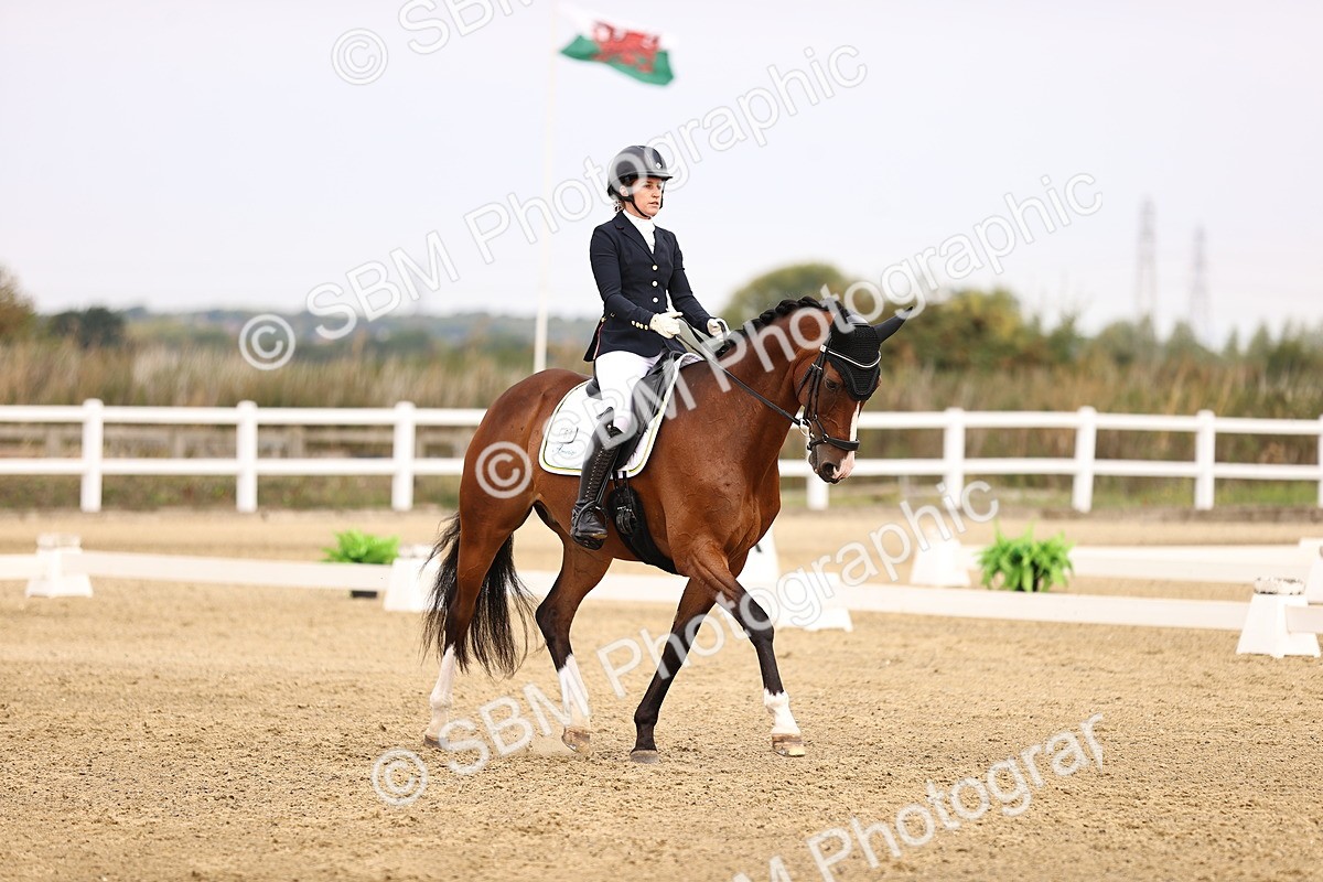 SBM_011663 - Class 1 - Medium 5