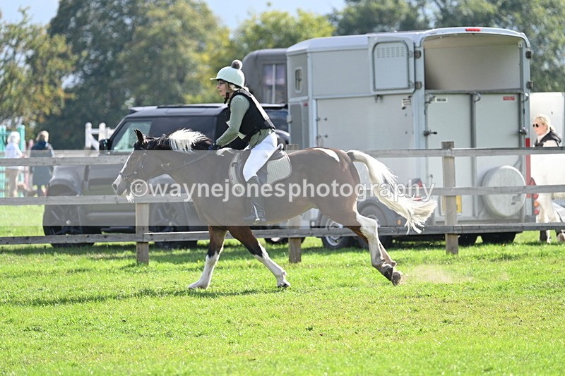 WJ7_4825 - 60cm Time 11:11 to 11:19