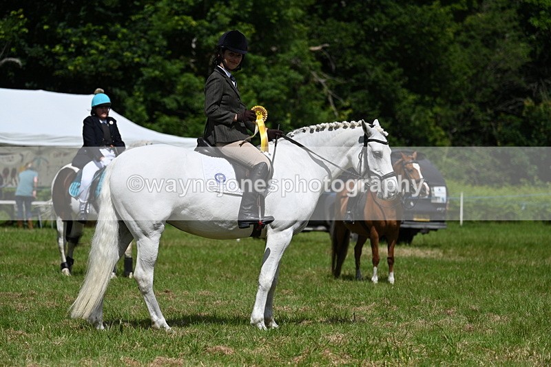 WJ7_1811 - Class 9 Pony Club Pony