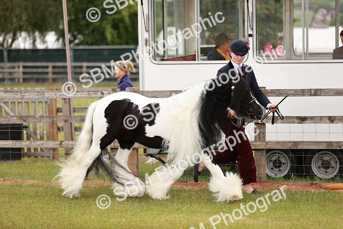 SBM_05967 - Class 39-41 TGCA In Hand and Ridden