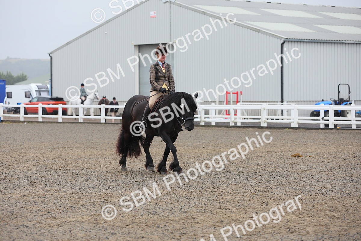 SBM_20302 - Class 803 - Ridden Combination 65+