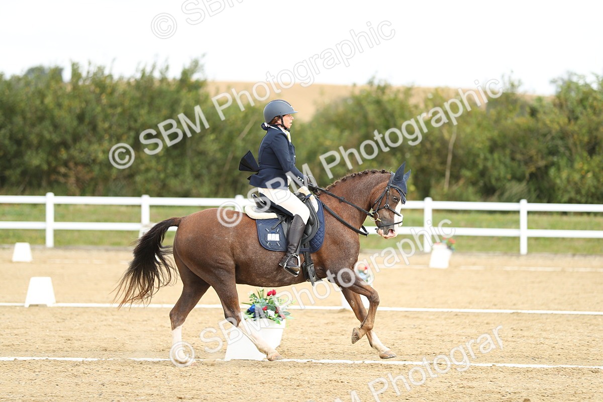 SBM_016306 - Class 13 - Novice 23 - 11.25-12.35