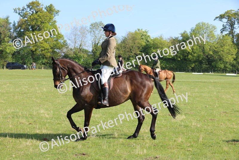 20250427-0524 - Class 17 - Novice Showing