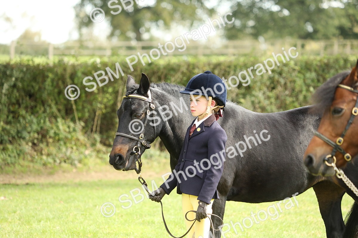 SBM_68548 - S40 - Junior Handler 9-12 Years