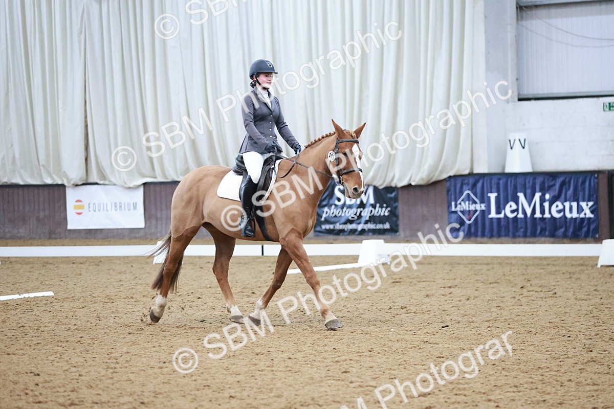 SBM_004636 - Ring 3 - International -  Working Hunter Classes 23-2-25