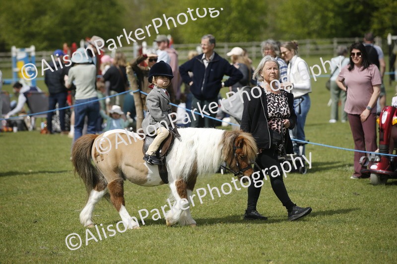 20260426-1822 - Class 7 - Pony Judge Would Most Like To Take Home