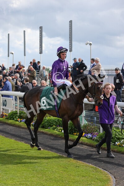 yr11052022r5-6 - Race 5 4.10pm Paddy Power 'Here For The Craic' Stakes