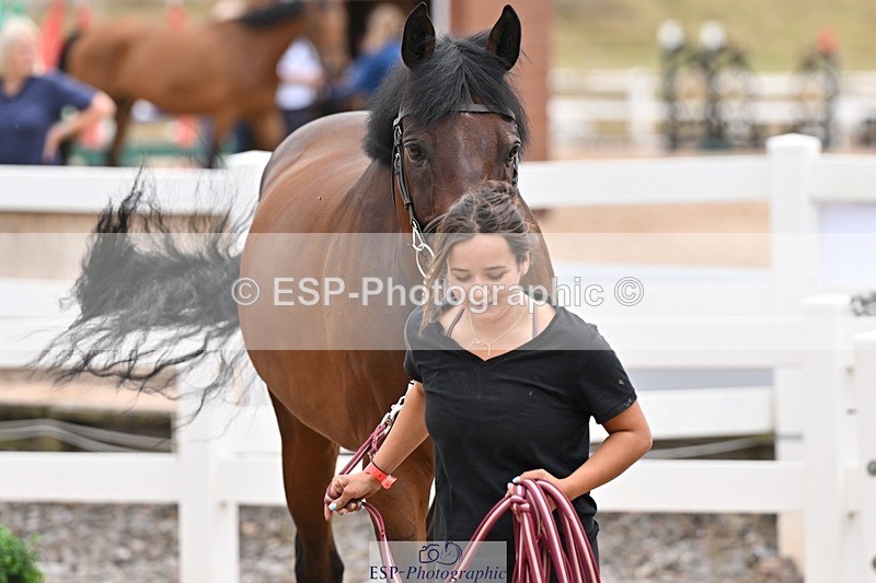 250716-144613-01382 - Trot Up 2.30 to 3.30