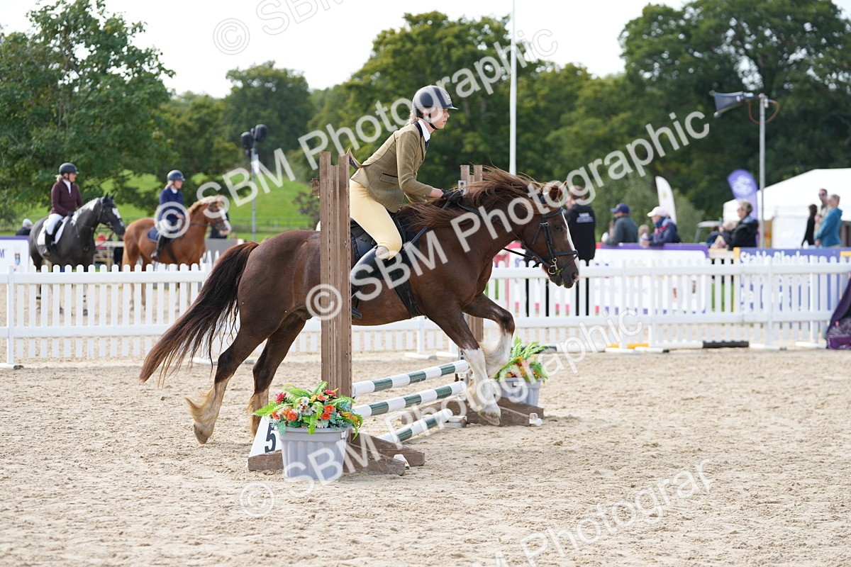 SBM_17866 - J58 - Clear Round 50cm