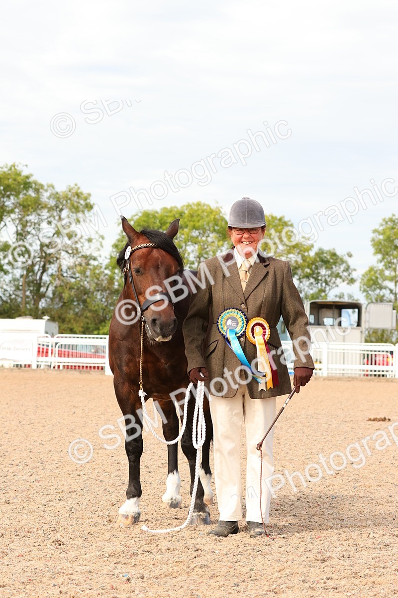 SBM_18069 - Class 707 - IH Groom - Helpers Glass