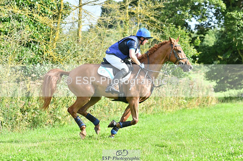 240804-175606-19390 - 713-Tim_Cheffings-HEARSAY_LARK_RISING