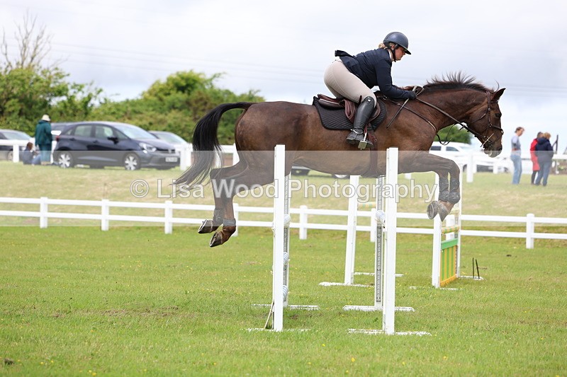 3E7A7068 - Class 12: Senior Foxhunter/1.20 open