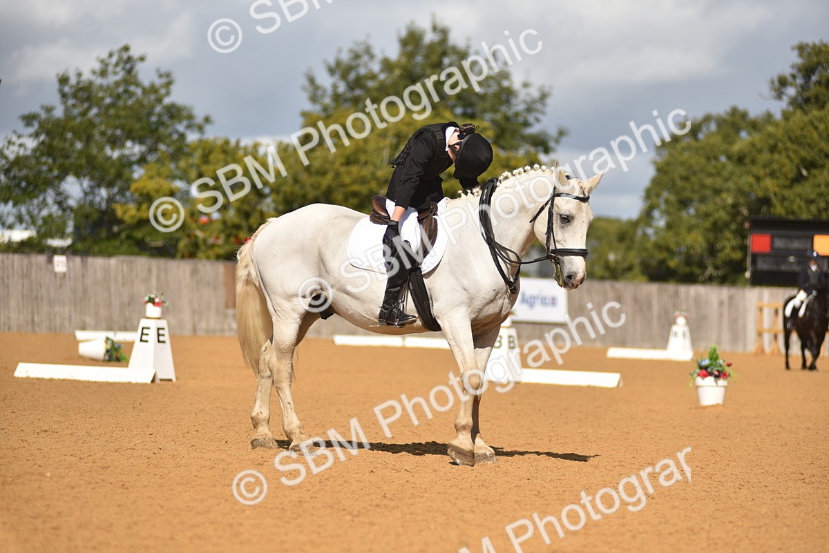 SBM_03124 - D4 - Small Tour Championship Intro 4