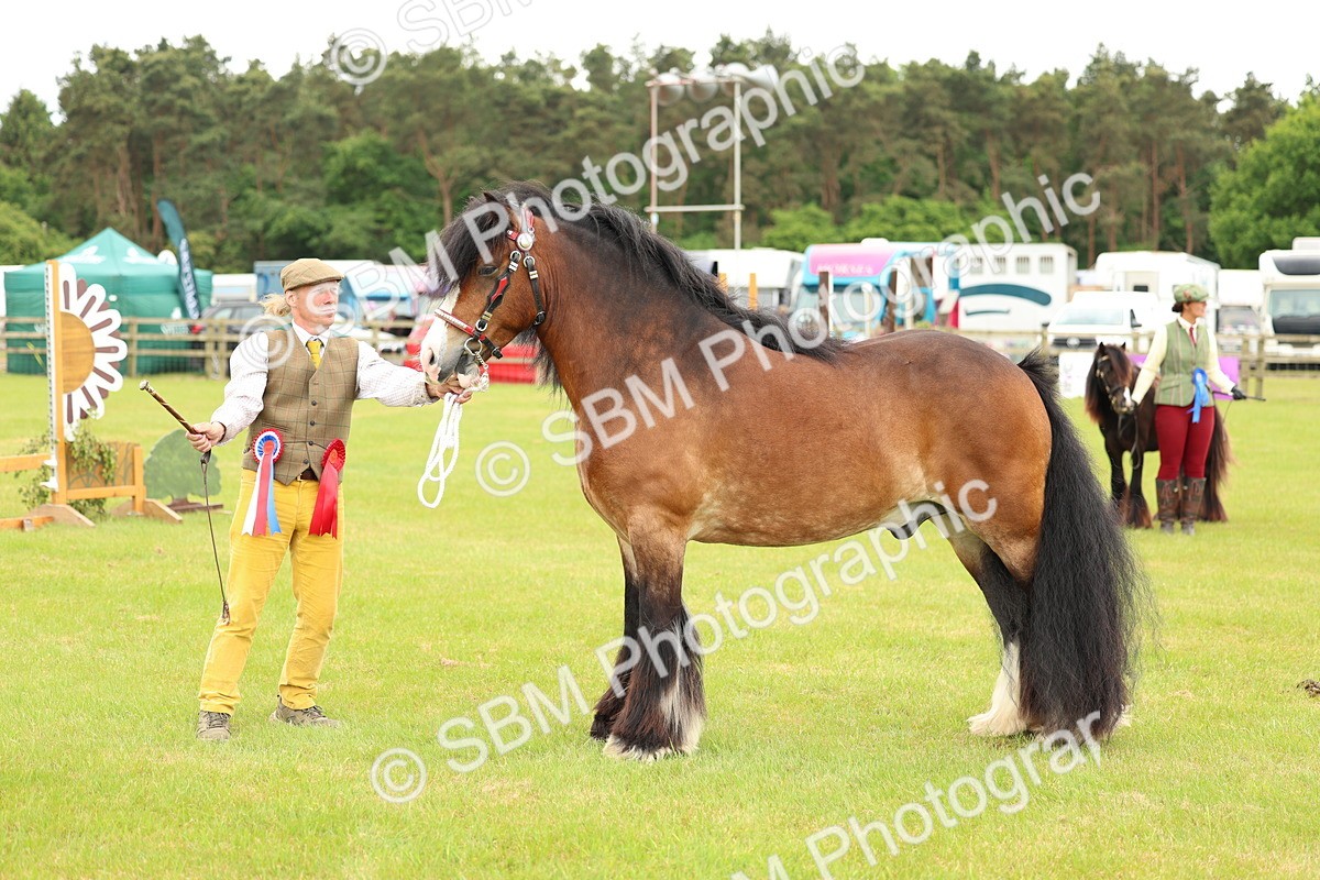 SBM_06328 - Class 39-41 TGCA In Hand and Ridden