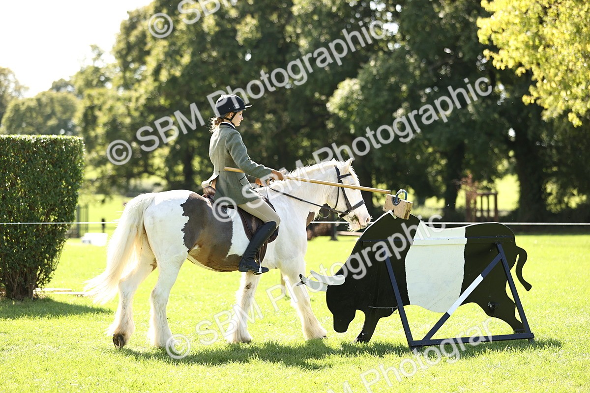 SBM_23020 - S4 - Have a Go at Working Equitation