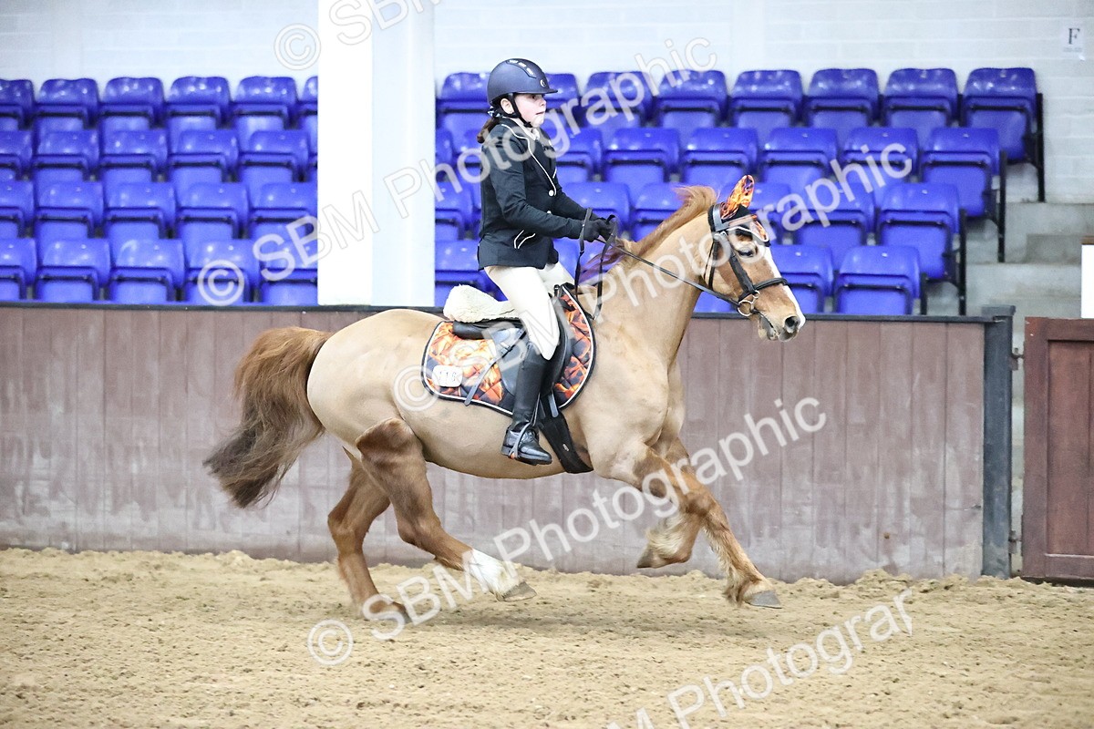 SBM_000263 - class 1 - 40cm