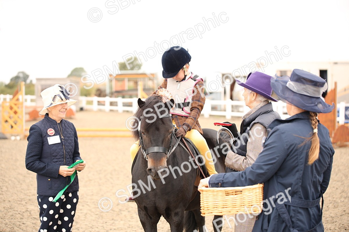 SBM_11737 - Class 404a Junior Working Veteran- 40cm (15-19)