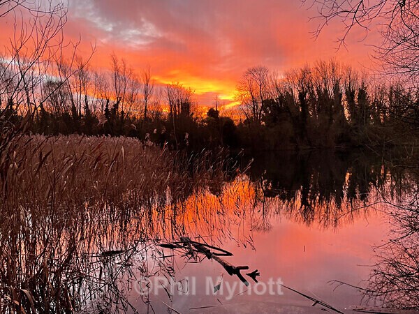 PhotoMynottART125 - Photo Mynott ART Images