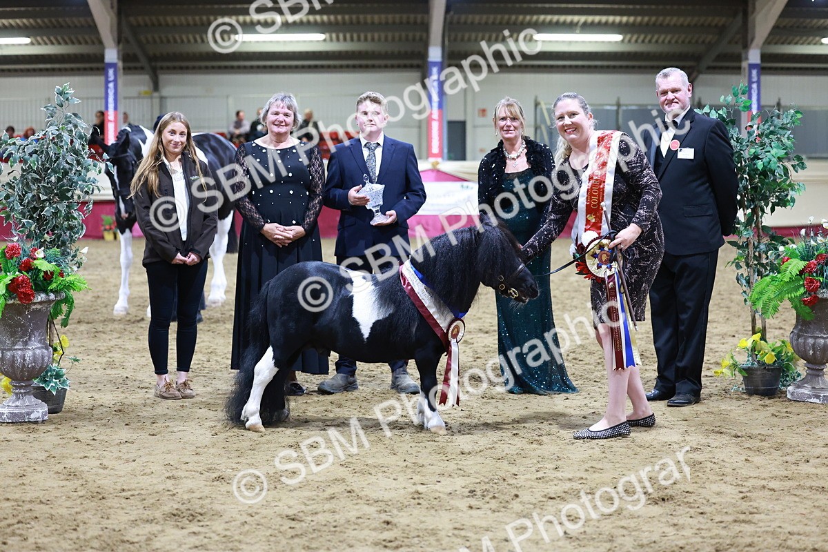 SBM_20861 - Class L - Coloured Champ