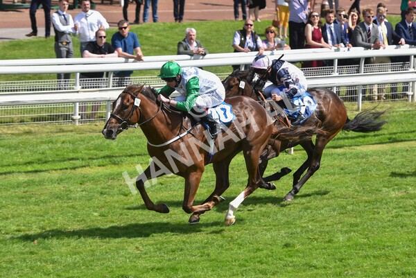 yr11062021r3-31 - Race 3 2.55pm SKF Rous Selling Stakes