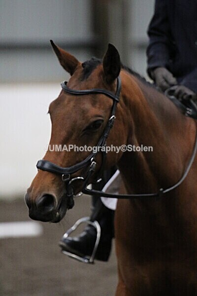 SIAL4105 - CAbin Dressage 5th july 2025