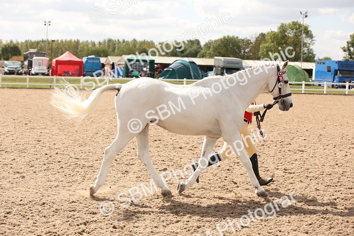 SBM_04619 - Class 20 IH Veteran