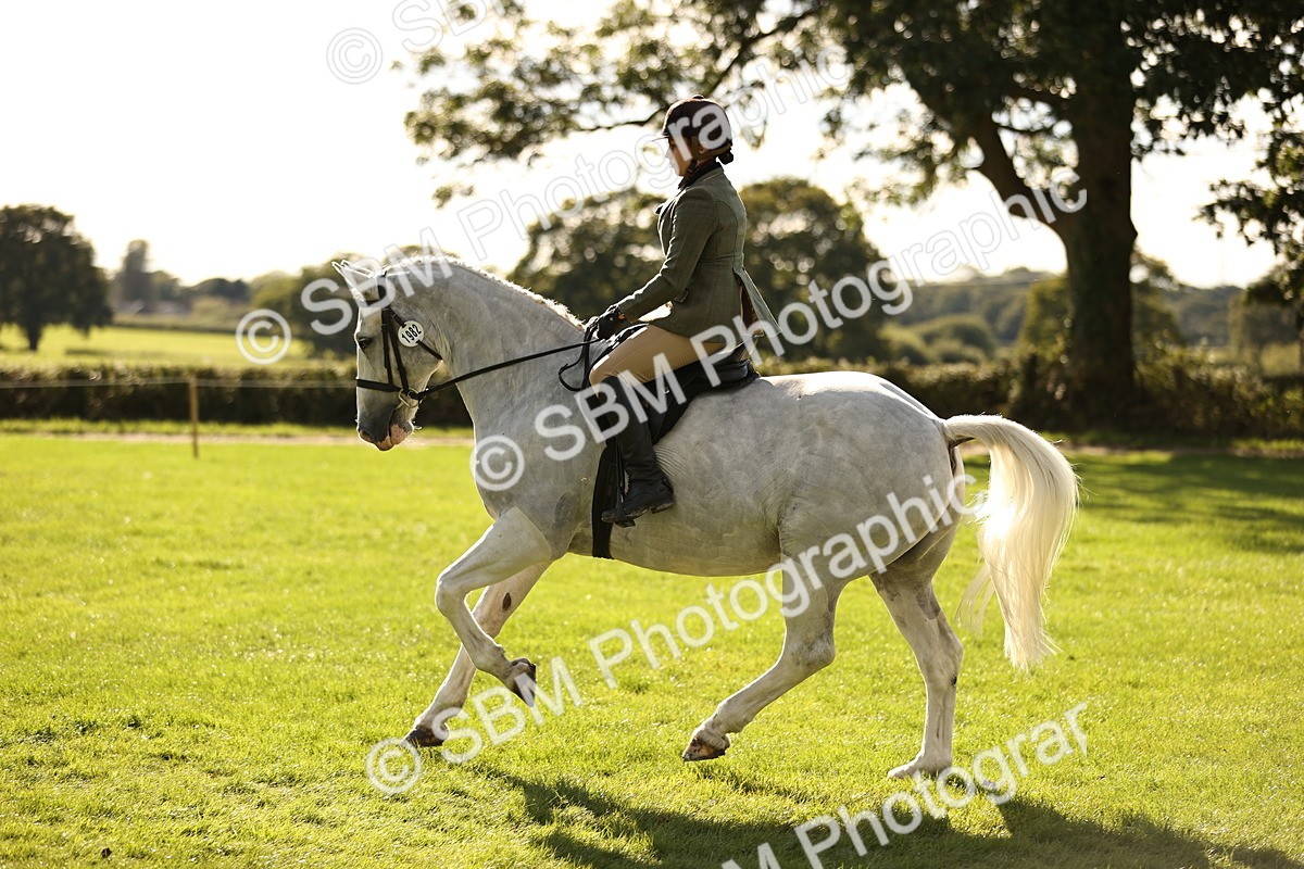 SBM_26423 - S6 - Novice & Newcomers Ridden Horse