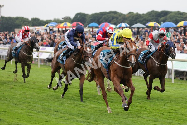 yr22072022r3-49 - Race 3 6.20pm Tomahawk Stakes