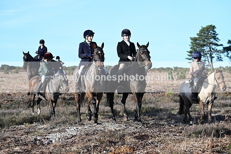 WJ7_7385 - Line 3 (no line 4 or 5)