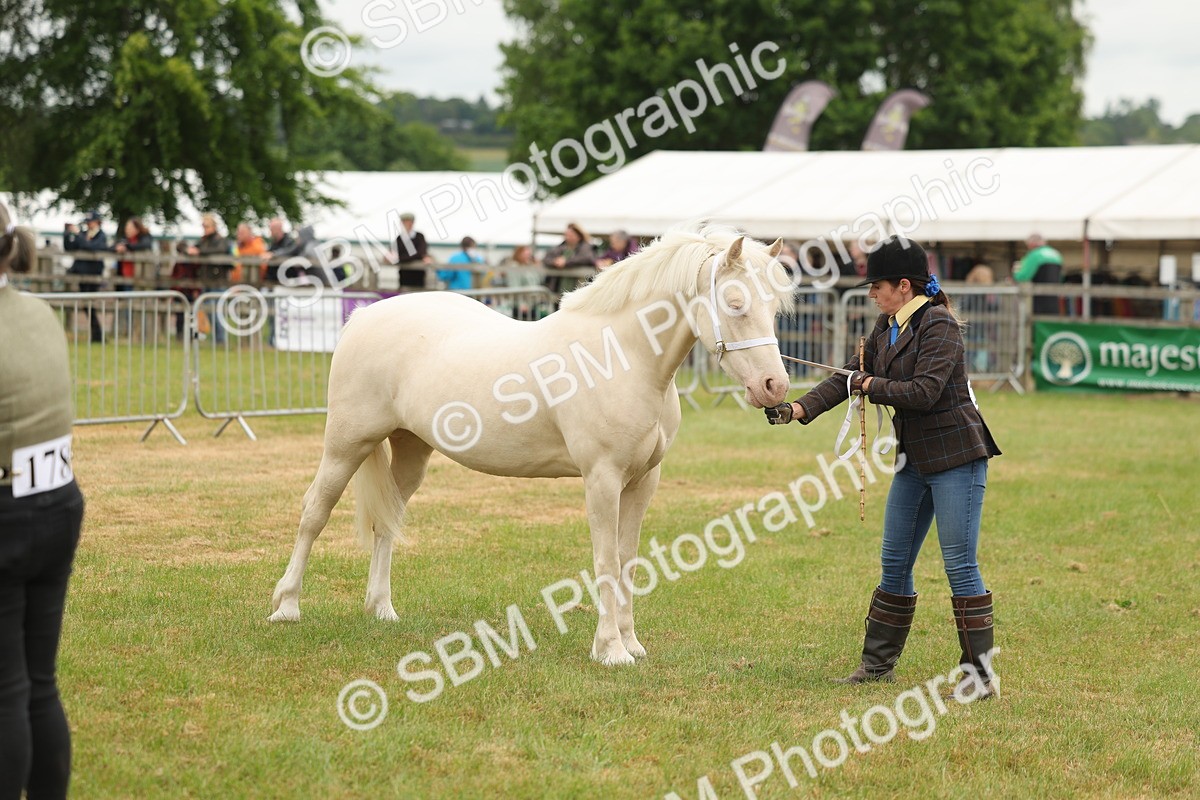 SBM_02402 - Class 50-57 - M&M Welsh Pony In Hand