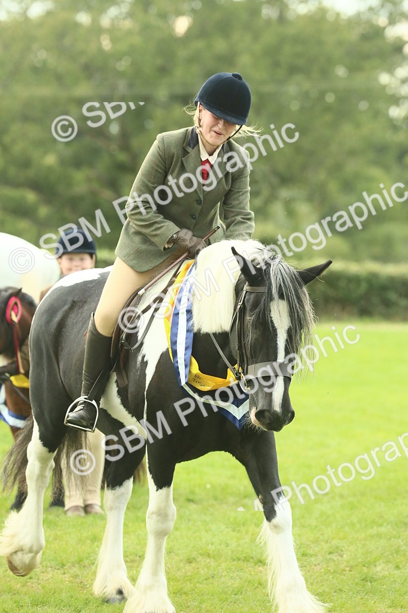 SBM_75282 - Super Supreme Championship