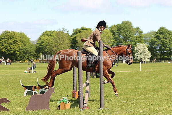 IMG_3774 - Working Hunter