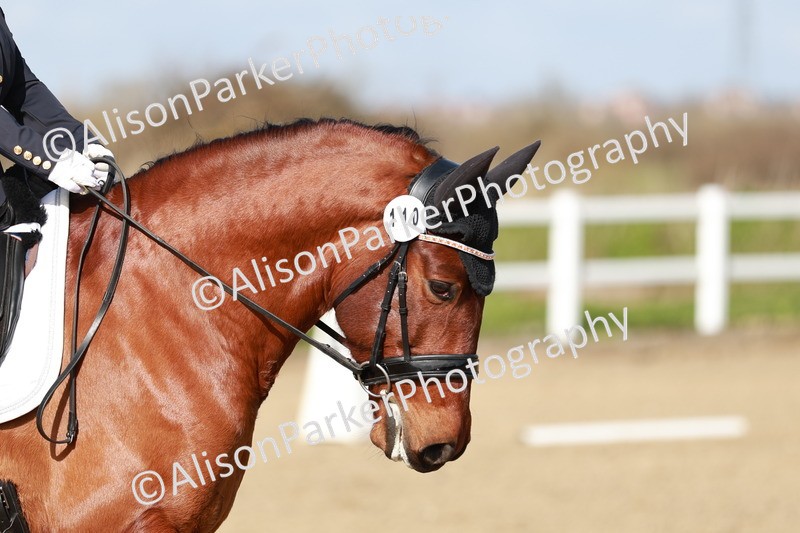 20260314-2886 - DR3 - Prelim 1