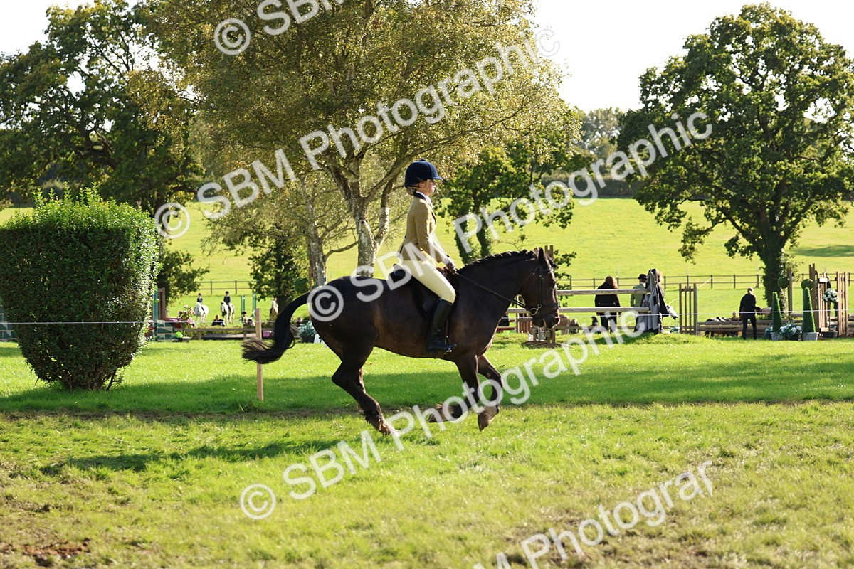 SBM_52419 - S13 - Pony Club Pony