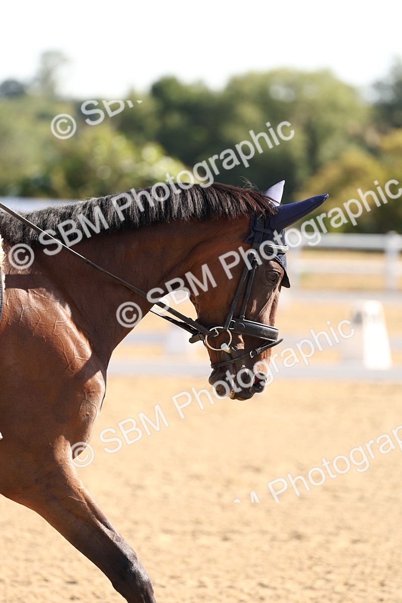 SBM_000304 - Intro 2 Warm Up