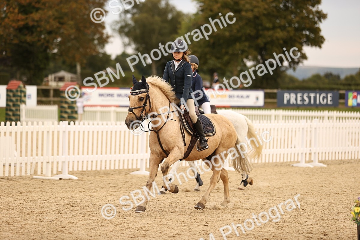 SBM_74511 - J14 - Junior Pony 65cm Championship