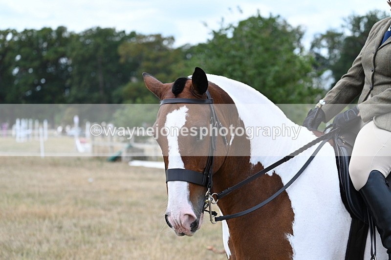 WJ7_5324 - Class 12 Ridden Cob