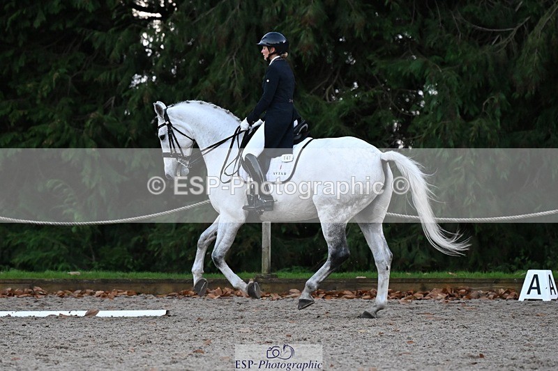 231110-162850-02623 - Cls 14 FEI Grand Prix