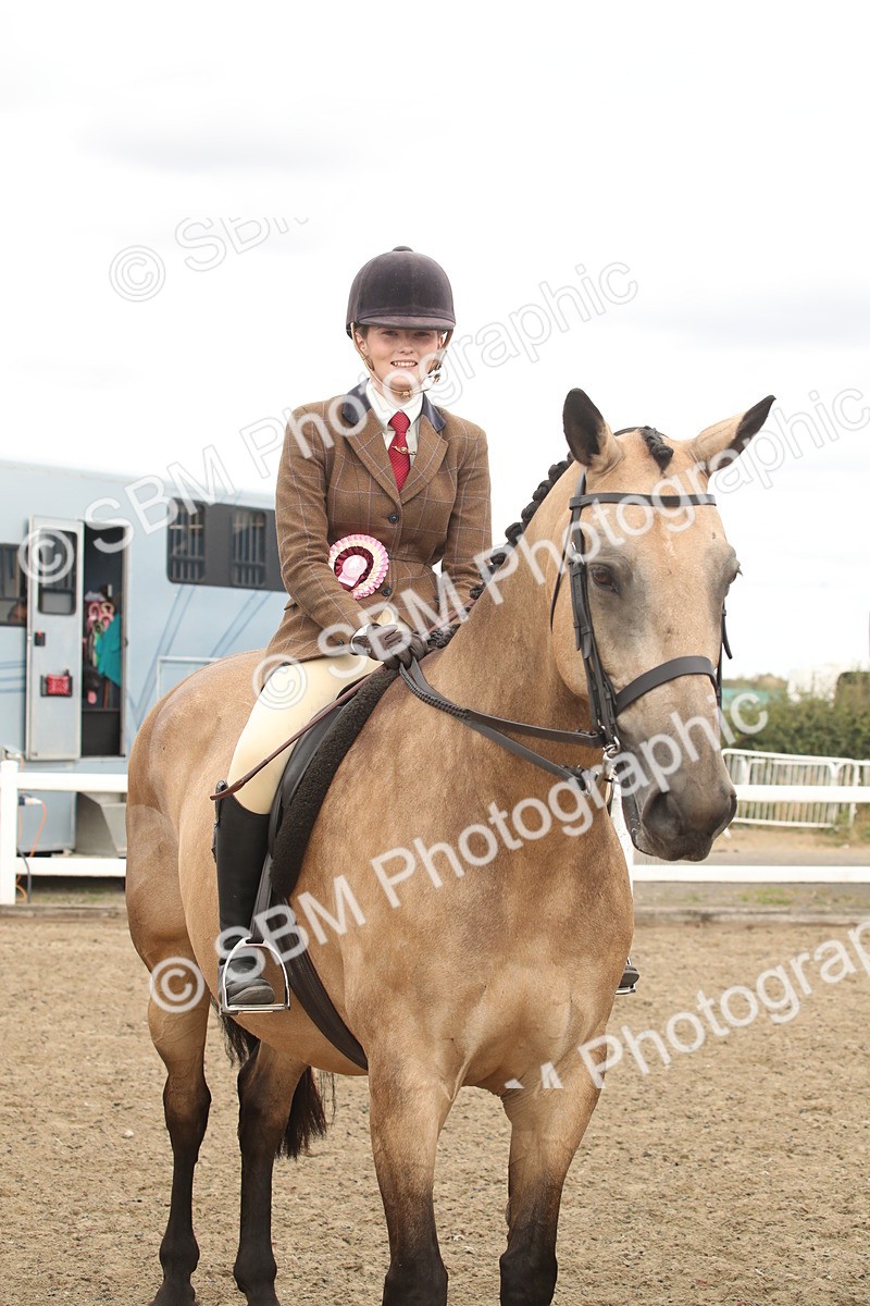 SBM_16705 - Class 507a - Working Veteran - 60cm (15-19)