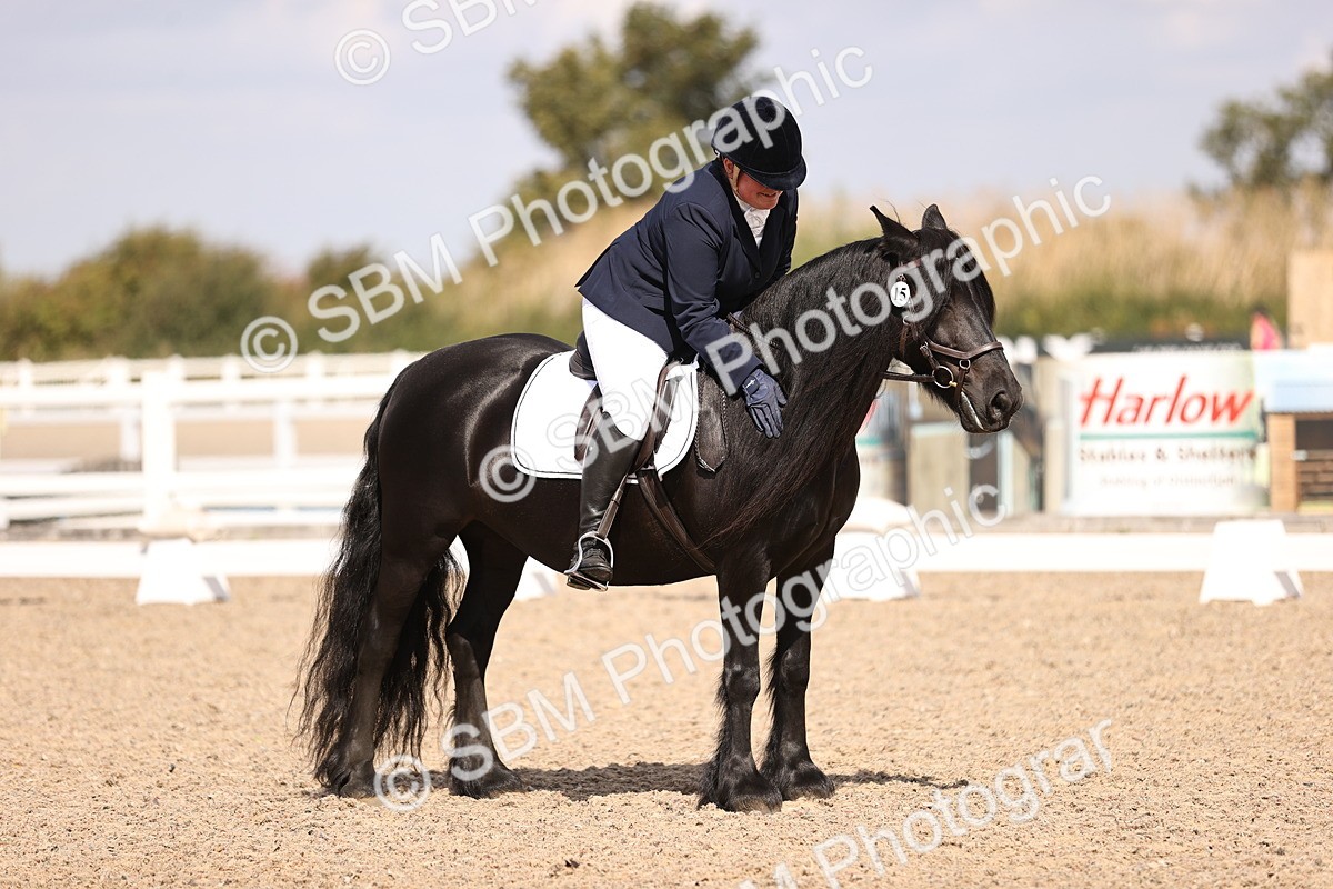 SBM_03702 - CLass 35 Intro 3