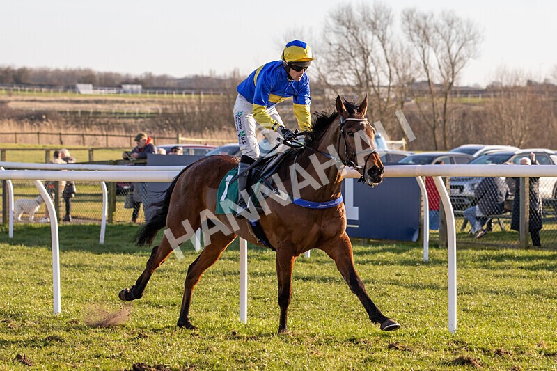 050325-Race 4-Hostile Hotelier-6961 - Race 4