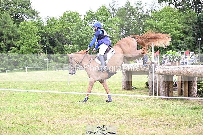 250524A-164350-14604 - C-273-Tim.Cheffings-HEARSAY.LARK.RISING